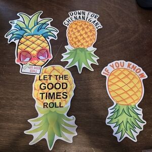 Funny Pineapple Themed Stickers Adult Set Of 4